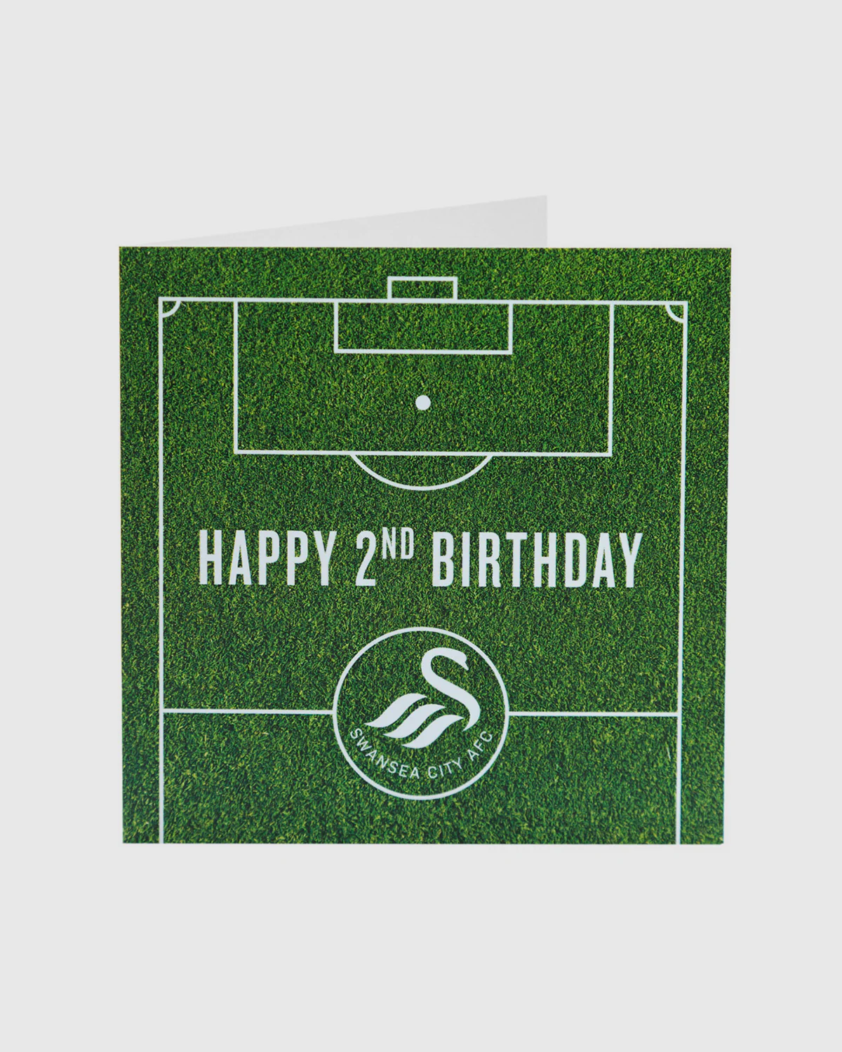 Swans Happy 2nd Birthday Card